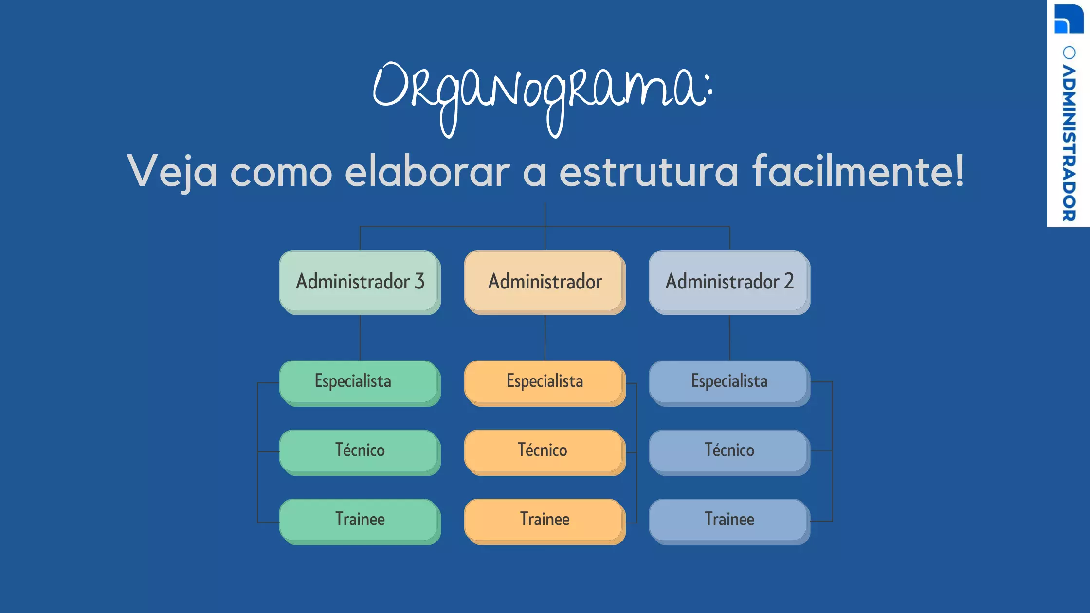 Organograma: Veja como elaborar a estrutura facilmente!