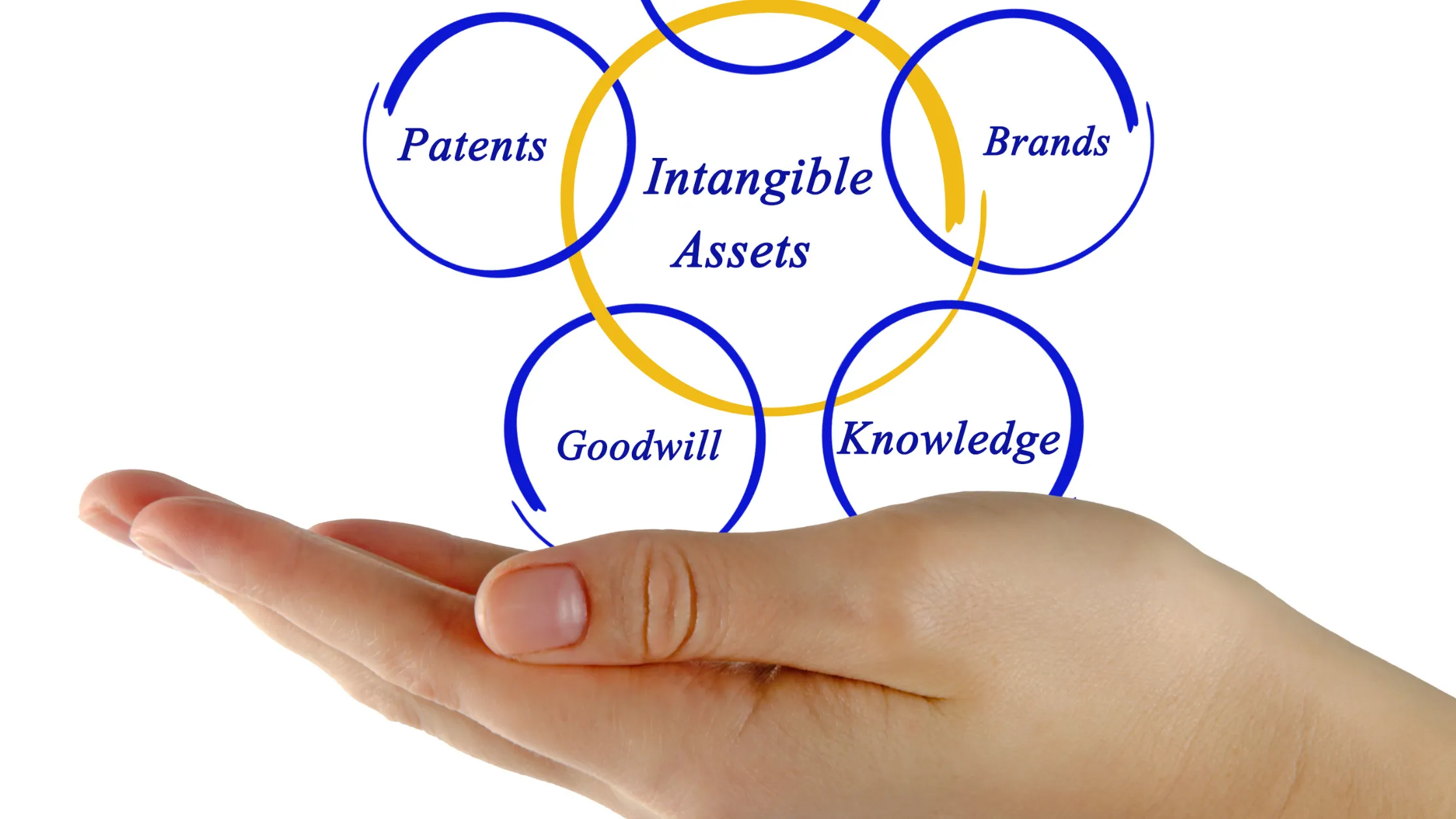 Empresas familiares em crescimento