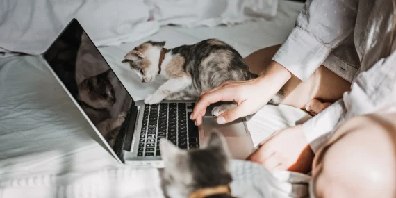 Vagas home office que continuam crescendo em 2026
