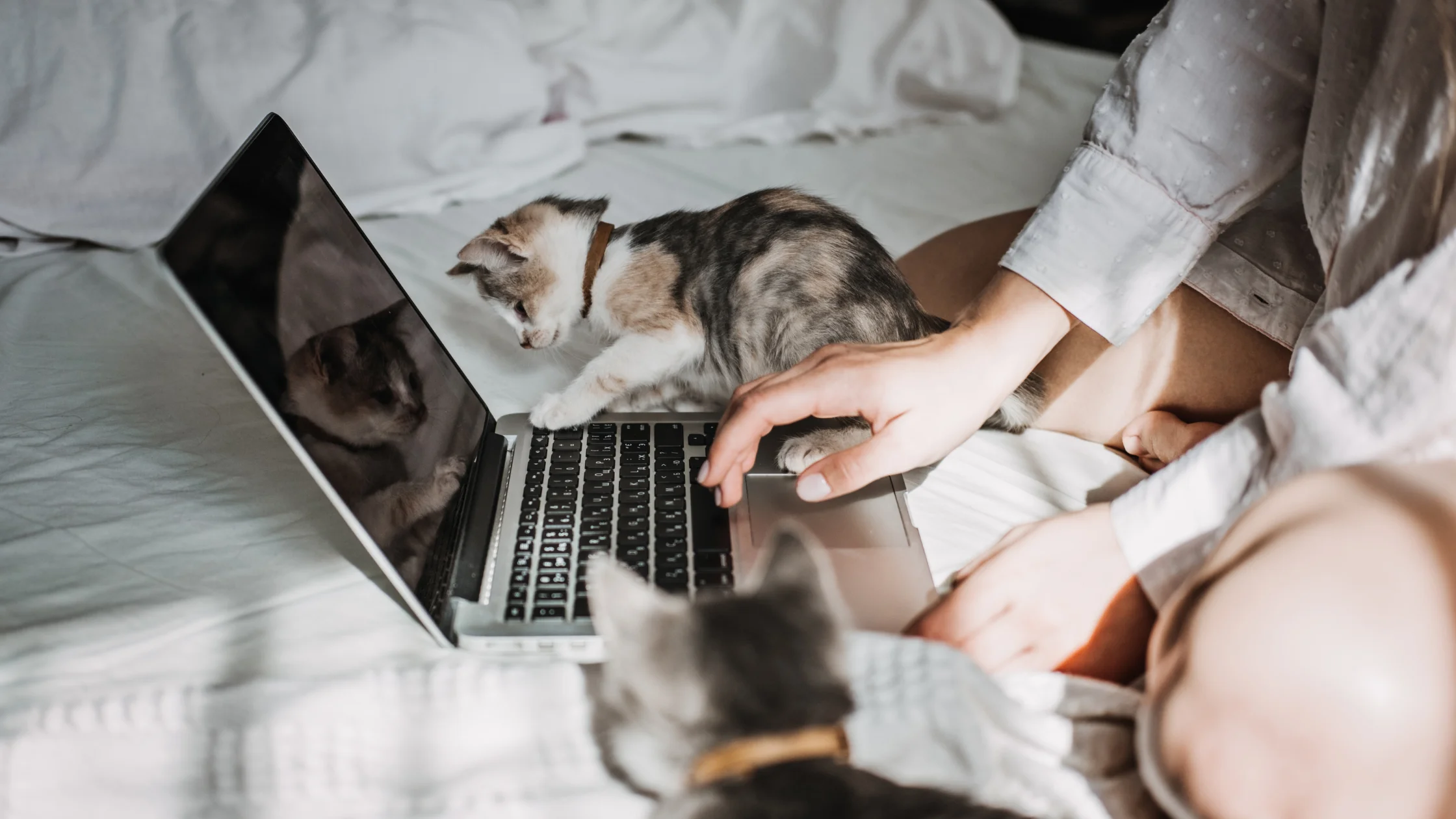 vagas home office que continuam crescendo 